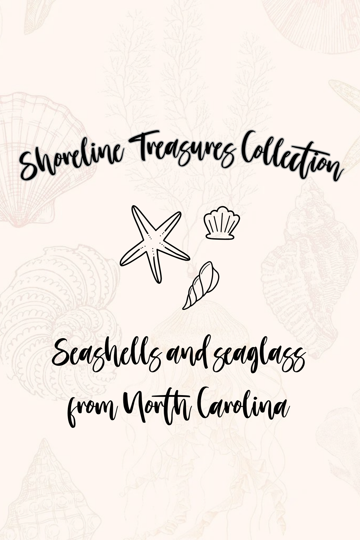 Shoreline Treasures Collection