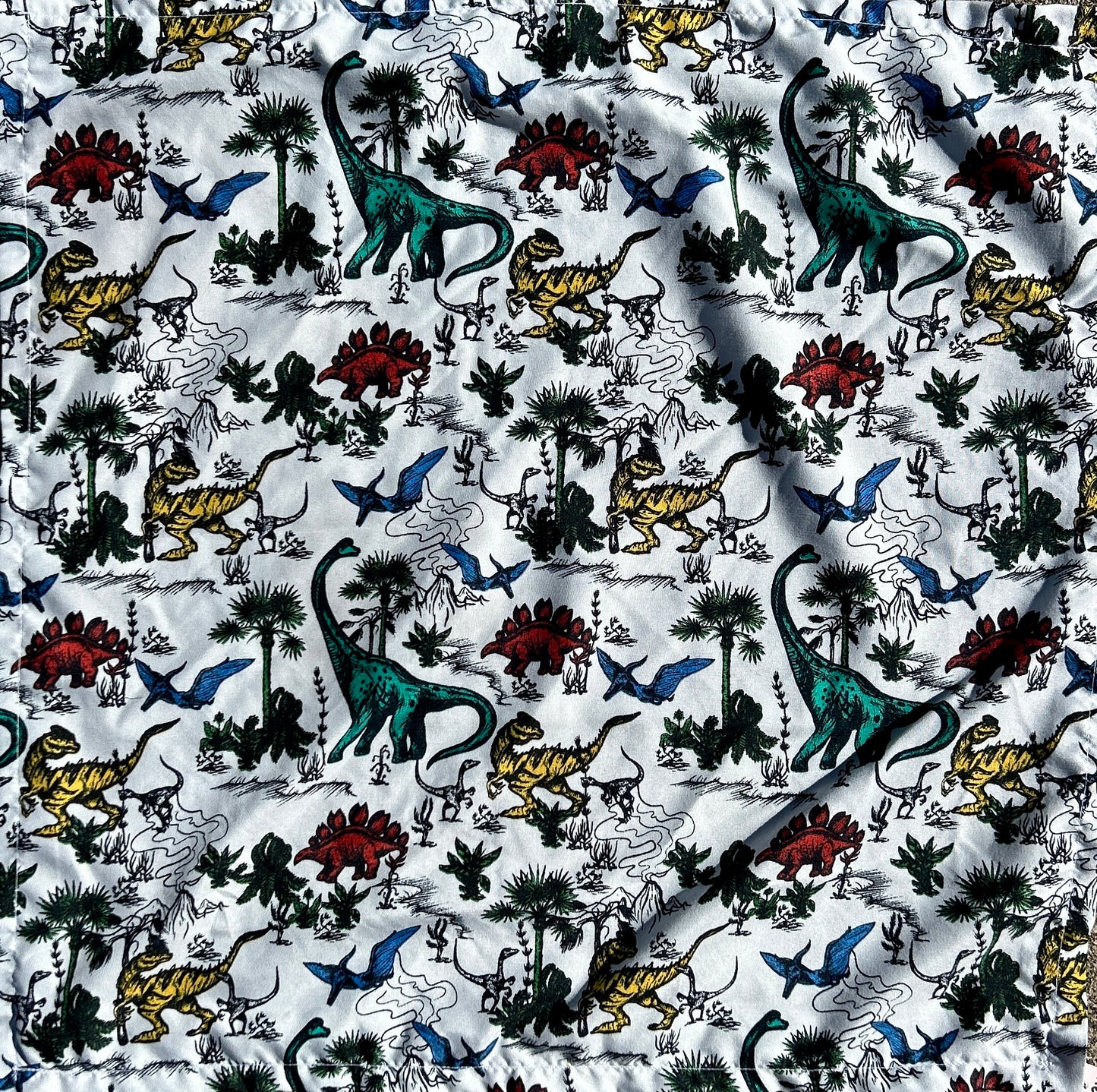 Dinosaur Print Bandanas (3 Available)