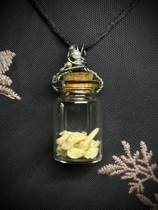 Cat Teeth Spell Jar Necklace