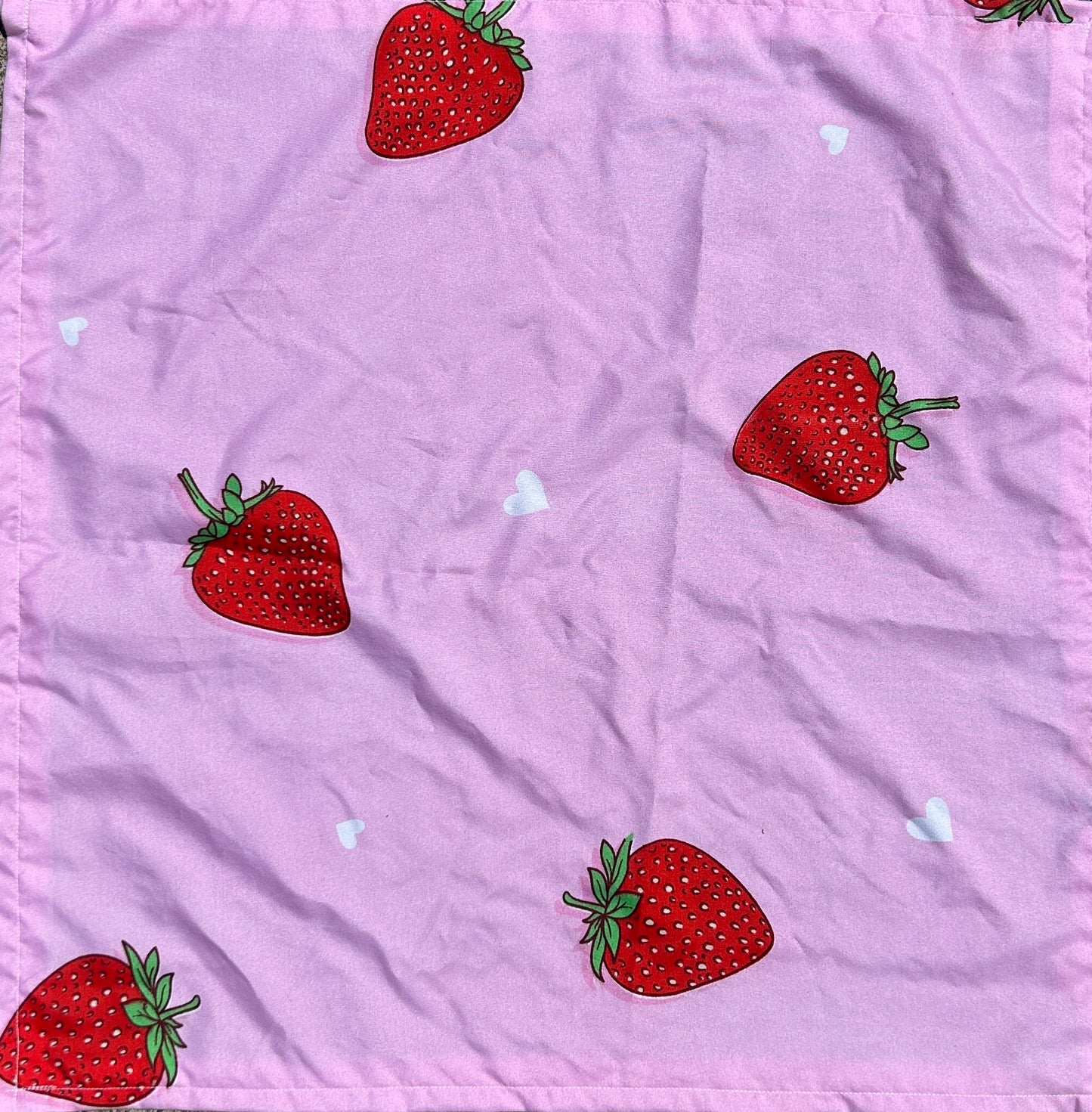 Pink Strawberry Bandanas (2 Available)