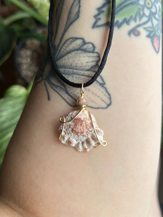 Dainty Pink Shell Necklace