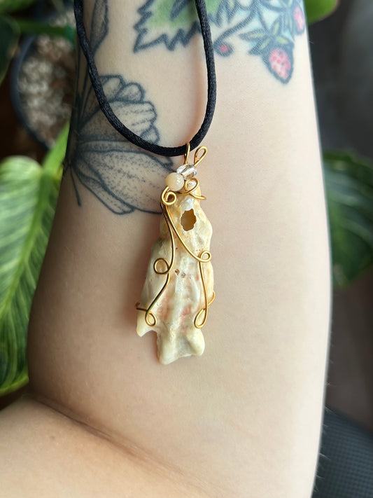 Pointy Seashell Necklace